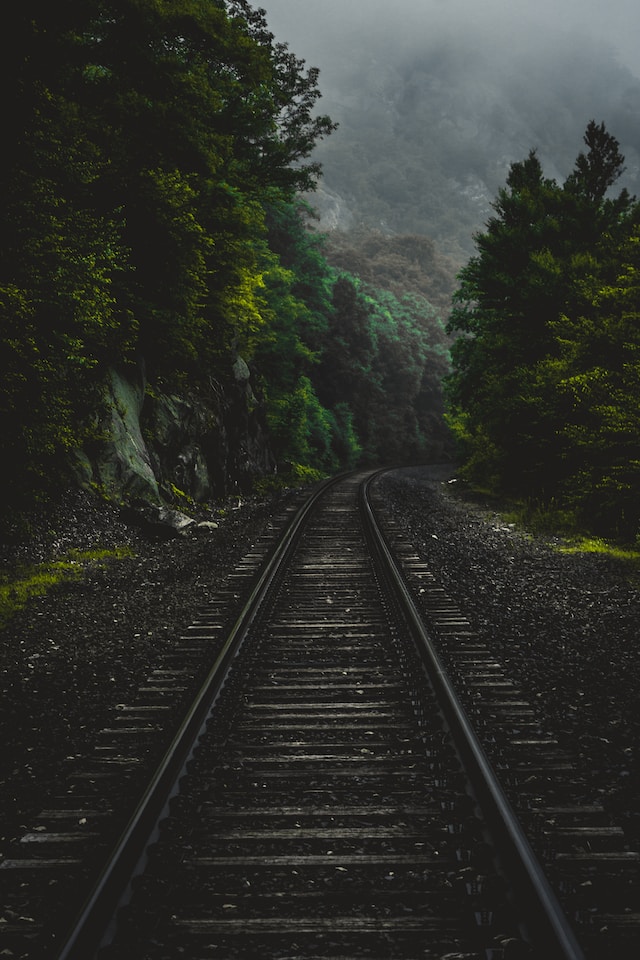 train tracks in a forest area