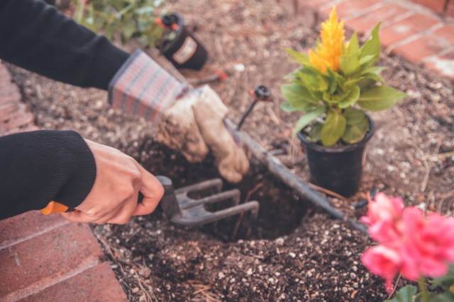 The Best Gardening Tools For Seniors